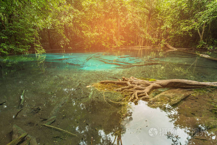 在深热带森林的翡翠湖