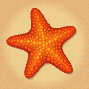 在沙滩上的沙子背景上的红色海洋之星的插图