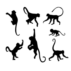 猴子剪影图片