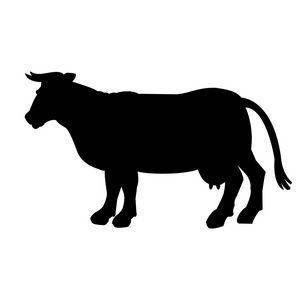 牛隔离在白色背景上的黑色人影图片