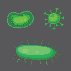 向量组的细菌和病毒平插图