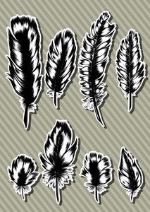 老式的羽毛矢量集。手绘插图