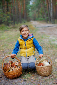 可爱的男孩，在森林里发现的野生蘑菇