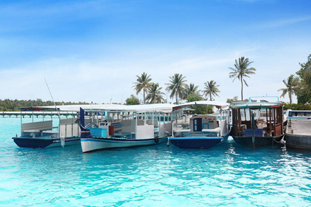 现代船停泊在热带度假村