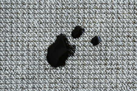 黑色污渍的地毯上照片