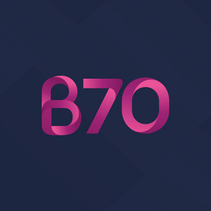 B70 字母和数字标志图标
