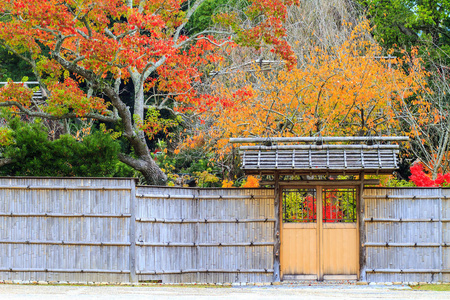 与美丽的枫树颜色在日本奈良公园的秋天