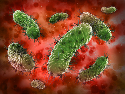 在扫描显微镜下看到的细菌病毒引起疾病的微生物和细菌在下面显微镜3