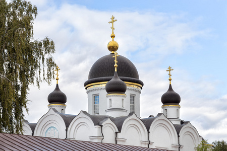 三一大教堂。圣吉洪变形修道院。Zadonsk。俄罗斯