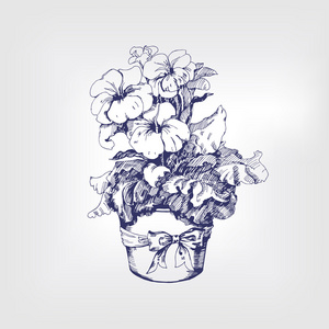 草绘的朵朵报春花照片