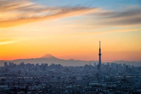 美丽的东京日落景观