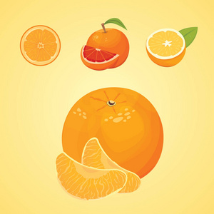 橙色的集合图片-橙色的集合素材-橙色的集合插画-摄图新视界