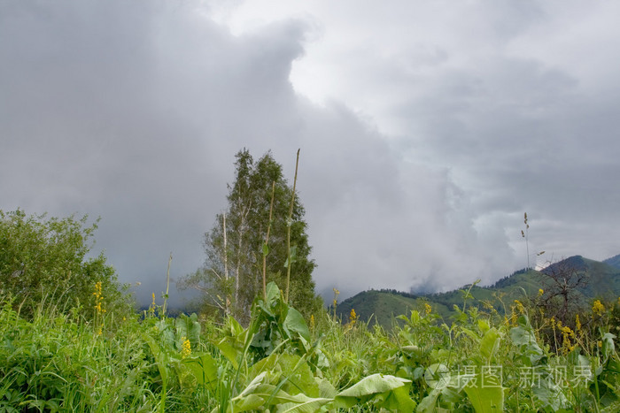 好大的风暴风雨在山