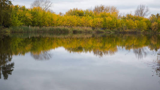 在公园里，泛黄的树，沿着海岸的一个小湖。反射的天空和树木在湖中之水。一个美丽的风景优美的地方