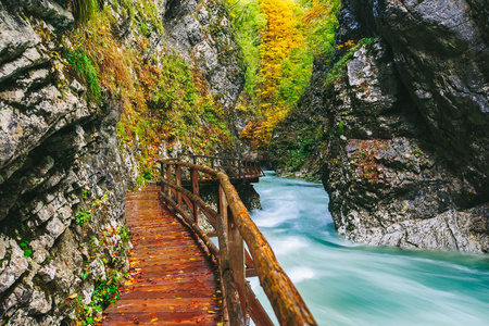 著名的 Vintgar 峡谷峡谷与木拍的布莱德 Triglav，斯洛文尼亚 欧洲