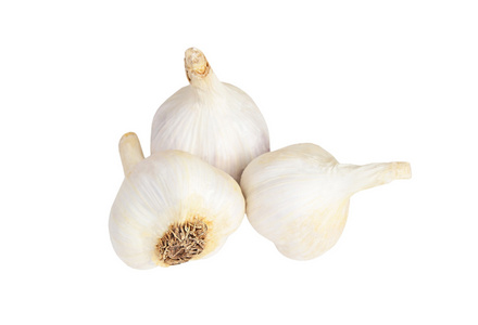 在白色的大蒜照片