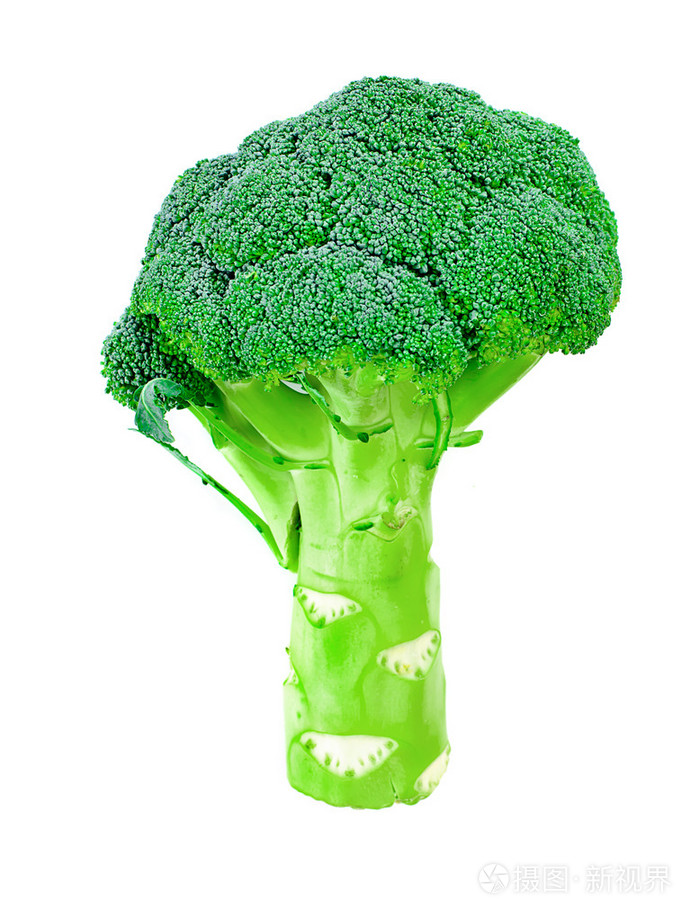 孤立的新鲜多汁的绿色花椰菜