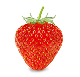 白底草莓壁纸图片