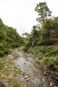 小溪在缅甸