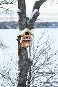 树上的美丽鸟窝。冬天视图