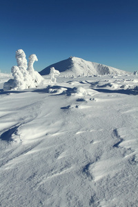 在 krkonose snezka 山