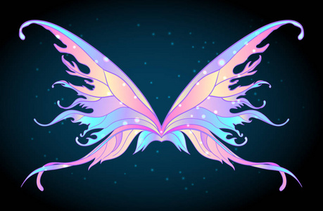 对魔法仙女翅膀照片