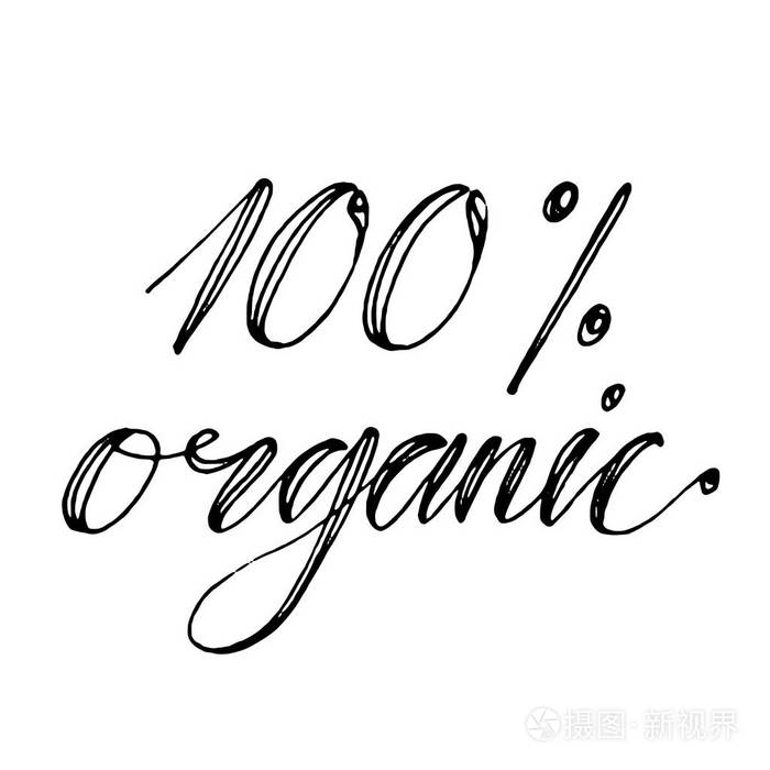 手绘矢量字体用手短语100有机孤立的矢量图手写的现代书法为明信片