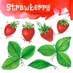 孤立在白色背景上的水彩草莓