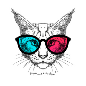 立体猫3d 眼镜的猫脸的画像照片