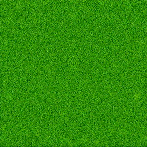 绿草纹理背景照片