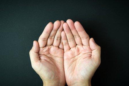 棕榈树起来图片