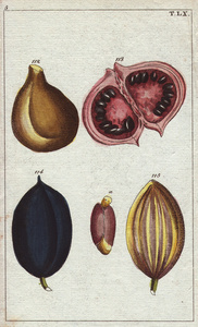 托比亚斯图片-托比亚斯素材-托比亚斯插画-摄图新视界