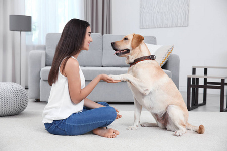 年轻女子和黄色猎犬在家休息