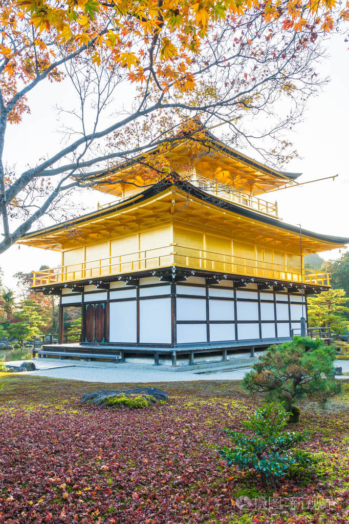 金阁寺美丽的建筑金阁