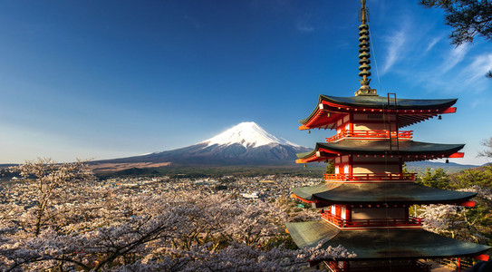 美丽的全景视图的富士山和 Chureito Pagoda 与春天，吉田 日本樱花