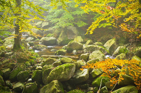 在捷克共和国 Jizera 山流