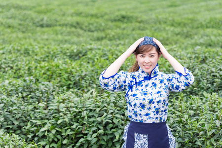 亚洲女孩采摘茶叶