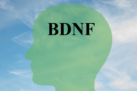 精神因素bdnf 概念图照片