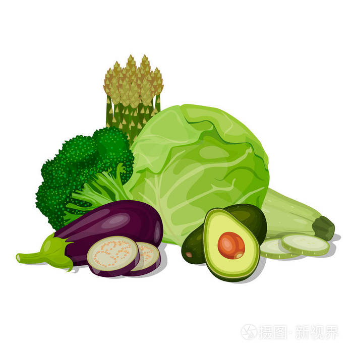 绿色蔬菜 矢量 卷心菜 南瓜 花椰菜 鳄梨 茄子 芦笋插画 正版商用图片0dpcnb 摄图新视界