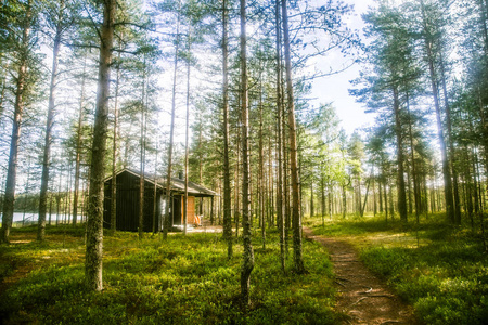 美丽的小木屋在芬兰森林图片