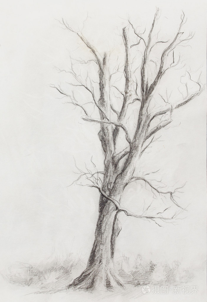 在夜晚景观和抽象垃圾背景带有斑点的绘画树,原始的手工绘制和计算机