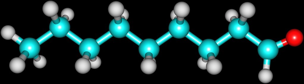 壬醛分子上黑色孤立图片