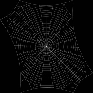 蜘蛛网。黑色背景上的孤立。矢量轮廓怡乐思