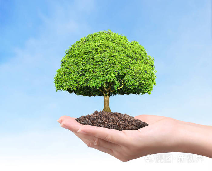 手捧植物树