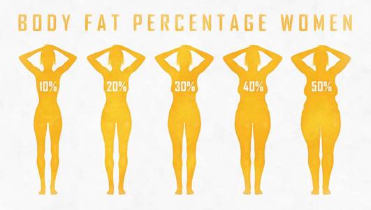 显示体脂.女性脂肪胃体rf 皮肤收紧.真空按摩.五金美容.身体护理.