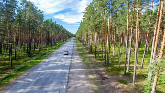 穿越森林的美丽道路的鸟瞰图