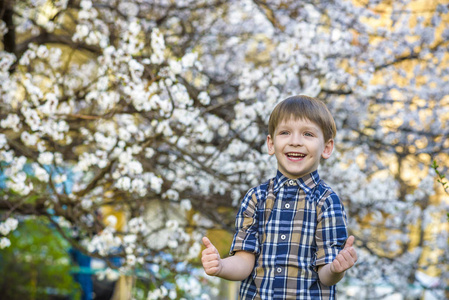 在春天的时候，附近树上微笑快乐 b 幼儿男孩