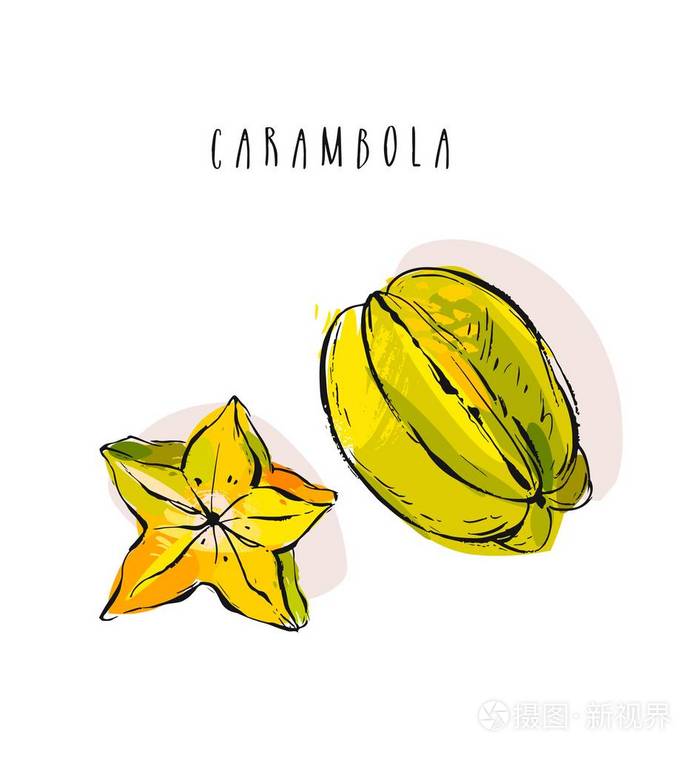孤立在白色背景上的手绘矢量抽象异国热带水果杨桃集合插图集