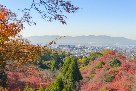 京都市清水在秋天从顶眺望季节京都