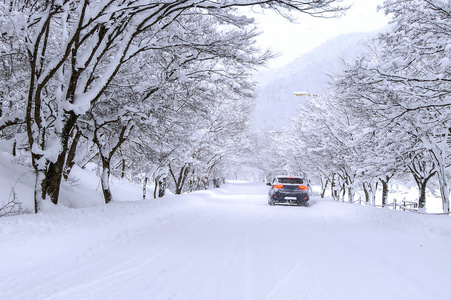 汽车和冬季森林道路上有太多的雪飘落的雪花